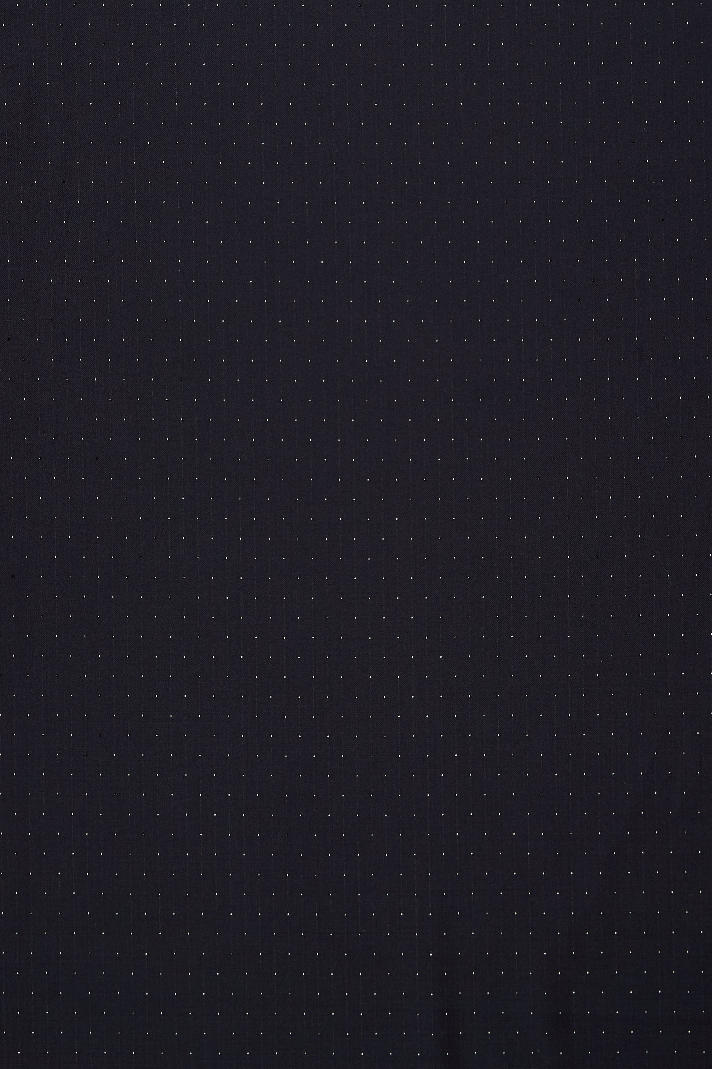 Vitale Barberis Canonico Navy with White Dotted Virgin Wool Cloth - 3.5m