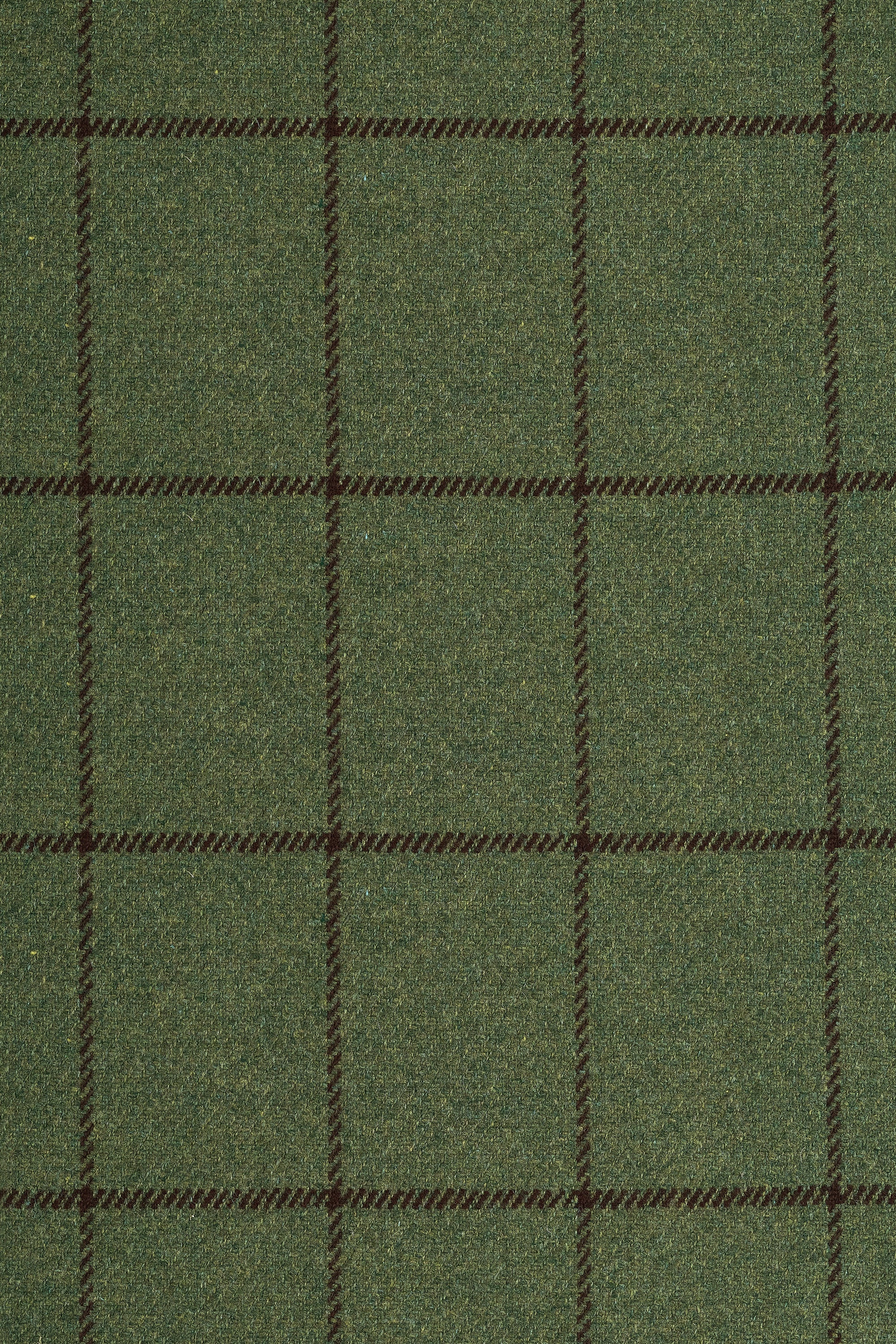 Fox Brothers Green Windowpane Merino Wool Cloth - 2m