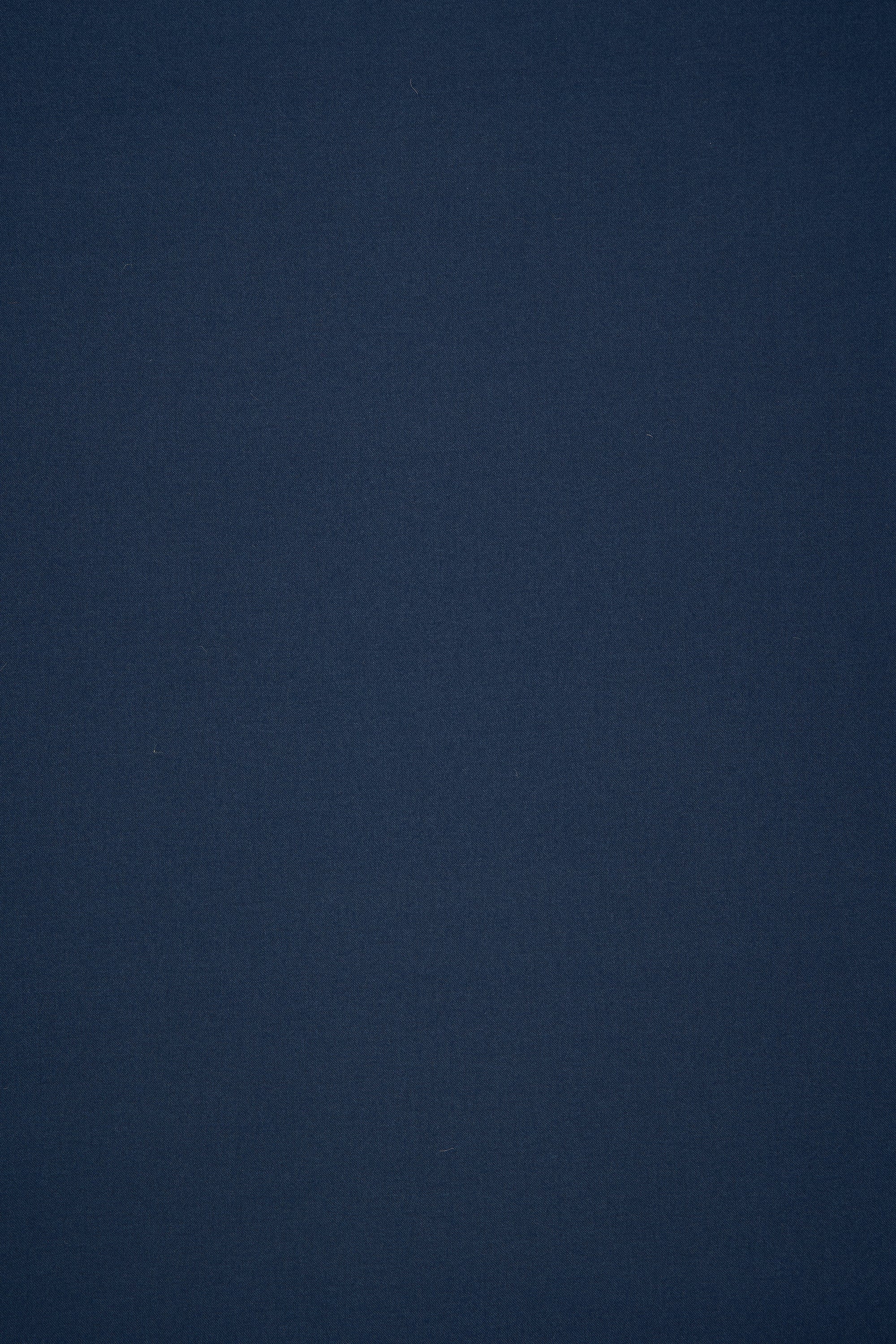 Vitale Barberis Canonico Navy Virgin Wool Cloth - 3.5m