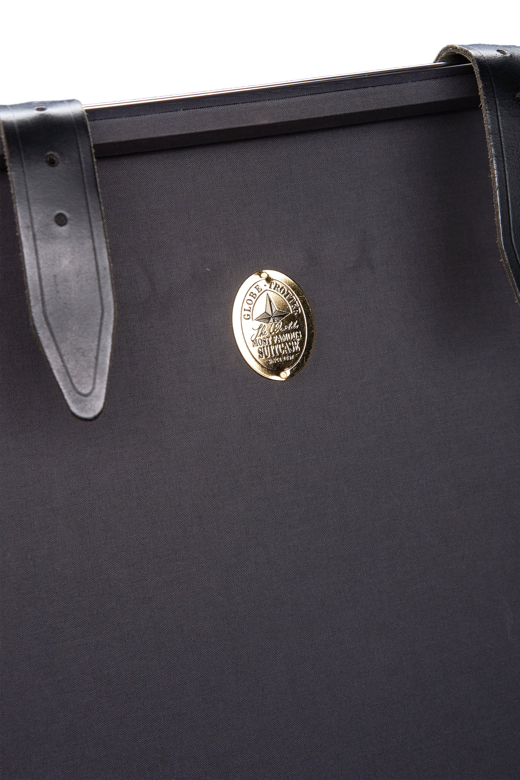 Globe Trotter Grey with Black Luggage