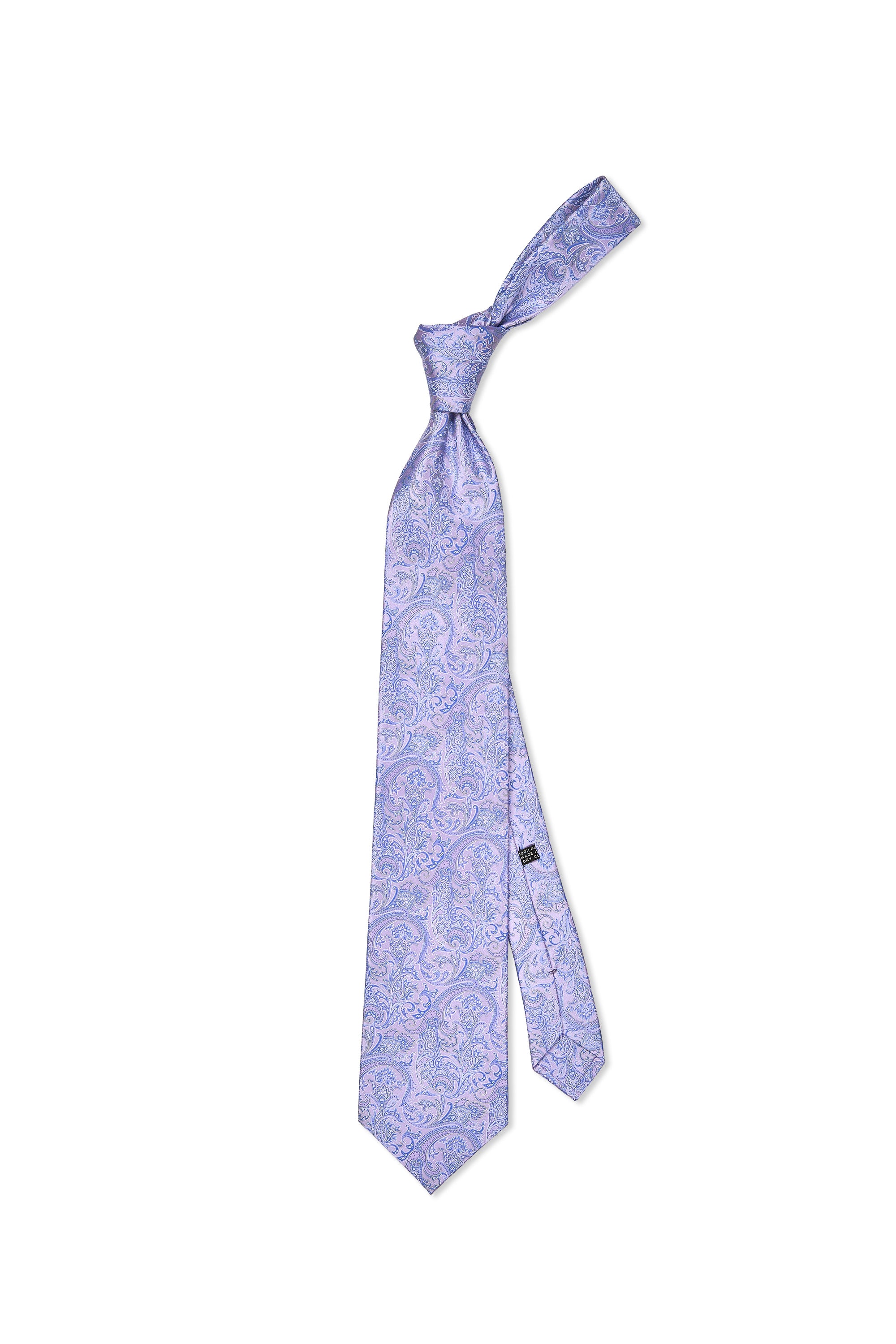 Stefano Ricci	Purple with Blue Paisley Pattern Silk Tie